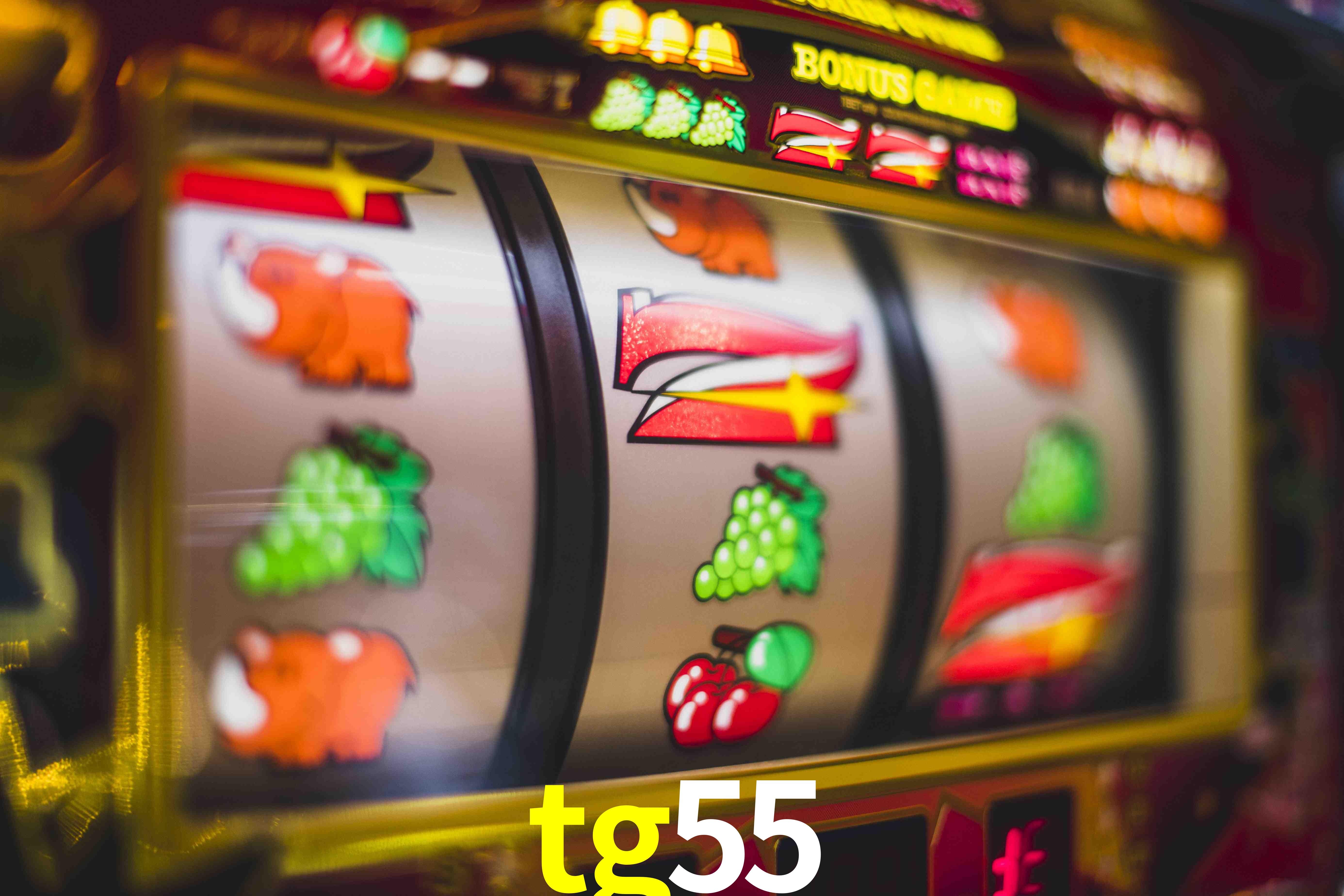Live Casino tg55